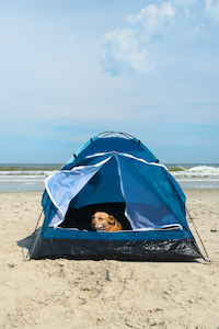 Strandzelt mit niedlichem Hund
